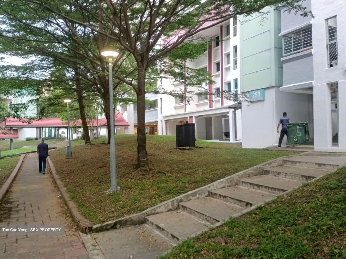 Blk 250 Tampines Street 21 (Tampines), HDB 3 Rooms #569166171